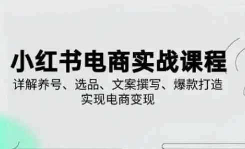 小红书从0-1实操课(2023-2025)，详解养号、选品、文案撰写、爆款打造实现电商变现-星舰联盟