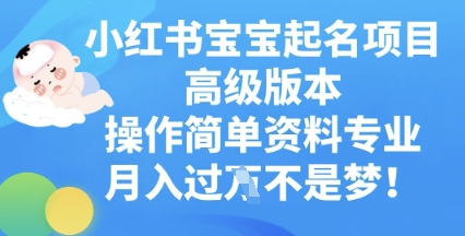小红书宝宝起名项目高级版本，操作简单，资料专业，月入过W-星舰联盟