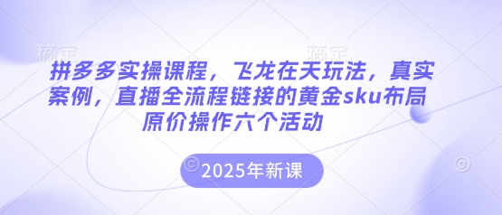 拼多多实操课程，飞龙在天玩法，真实案例，直播全流程链接的黄金sku布局原价操作六个活动-星舰联盟