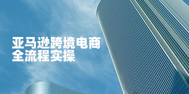 （14252期）亚马逊跨境电商全流程实操，教你从零开始，掌握店铺运营与广告技巧-星舰联盟