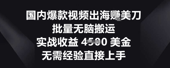 国内爆款视频出海挣美刀，批量无脑搬运，实战收益4.5k，无需经验直接上手-星舰联盟