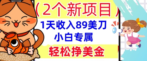 2个新项目，轻松挣美金， 1天收入89美刀，小白专属，干货分享-星舰联盟