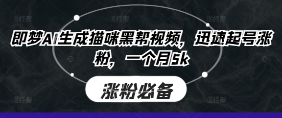即梦AI生成猫咪黑帮视频，迅速起号涨粉，一个月5k-星舰联盟