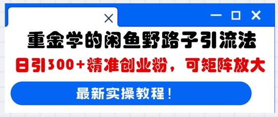 重金学的闲鱼野路子引流法，日引300+精准创业粉，可矩阵放大-星舰联盟