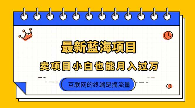 （14289期）2025年最新蓝海项目，卖项目小白也能月入过万-星舰联盟