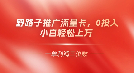 0门槛推广流量卡，一单收益上百，0投入，小白月入过W-星舰联盟