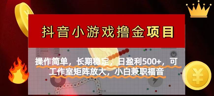 （14290期）【抖音小游戏发行人计划项目】操作简单，长期稳定，日盈利500+，可工作…-星舰联盟