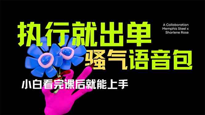 （14170期）爆火全网的开车导航骚气语音包,只要执行就出单，小白看完课程就能实操…-星舰联盟