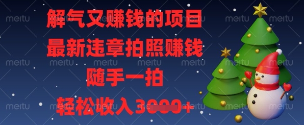 解气又挣钱的项目，最新违章拍照挣钱，随手一拍，轻松收入数张【揭秘】-星舰联盟